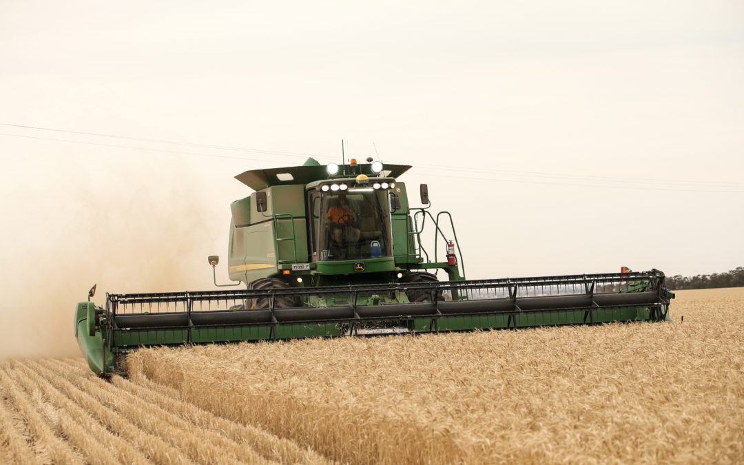 Storing your own grain? Here’s what you should look out for