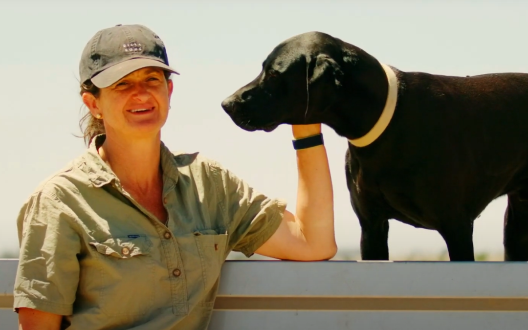 Quality grains for bread, pasta, noodles … even Japanese whiskey