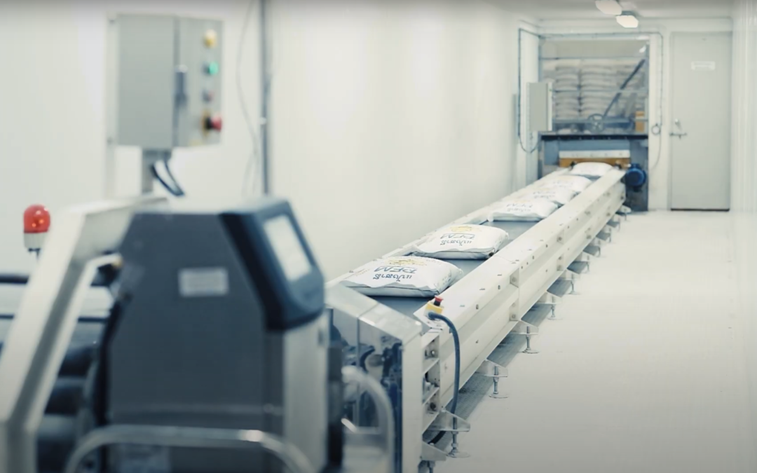 Why Aussie wheat is a smash hit in Thailand