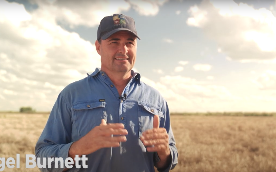 Optimising a difficult harvest